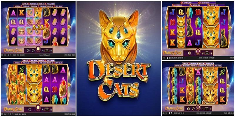 Unleash the Wild Wins in Desert Cats Slot!