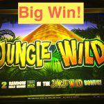 Jungle Wild Slots