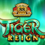 Tiger Reign Slot